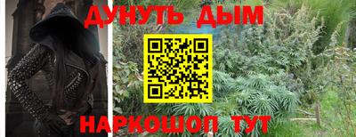 индика Партизанск